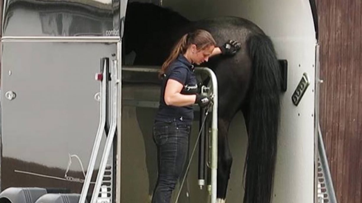 Reit und Fahrverein Pöhlde