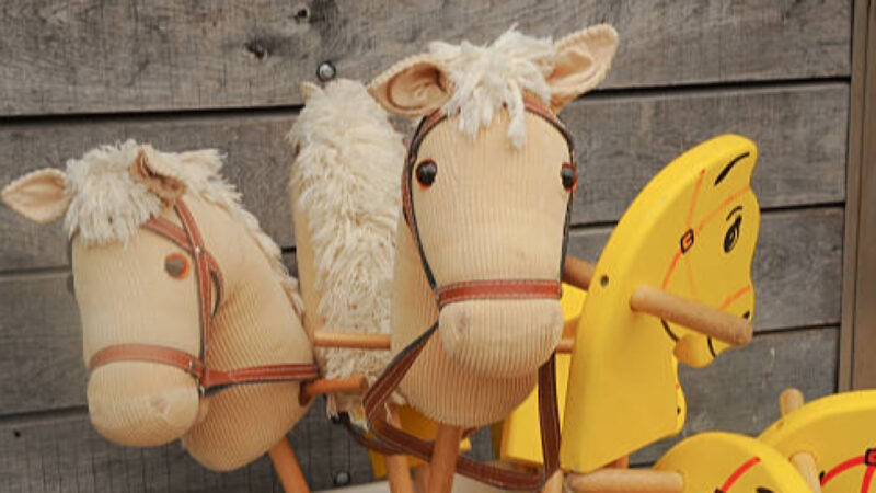 Hobby Horsing